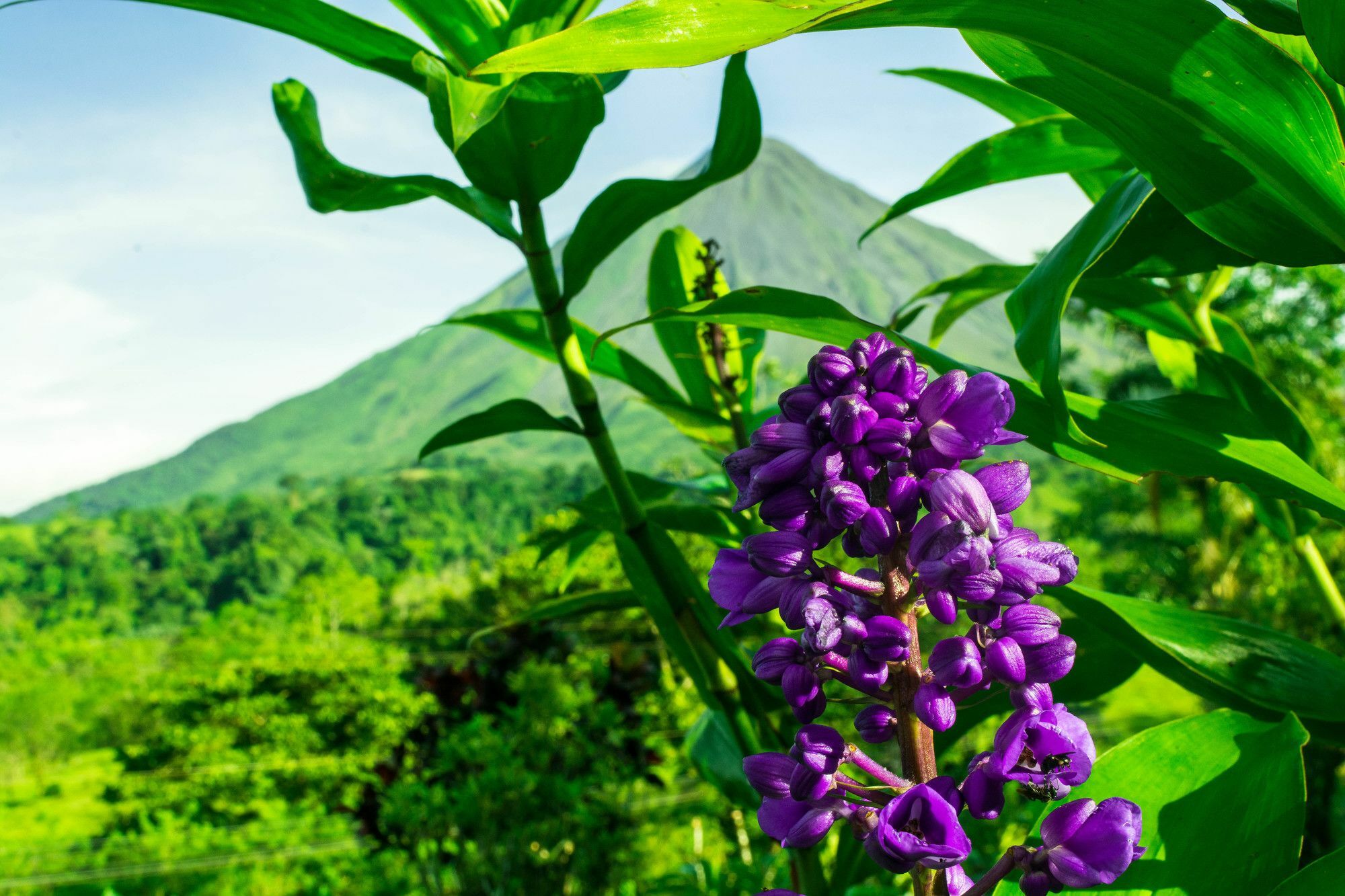 Arenal Bungalows La Fortuna 外观 照片